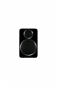 Wharfedale DS-2. Цвет: Черный  [Black]