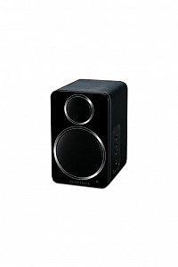 Wharfedale DS-2. Цвет: Черный  [Black]