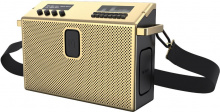 Bluetooth акустическая система Mondo BT Speaker Large, цвет золото