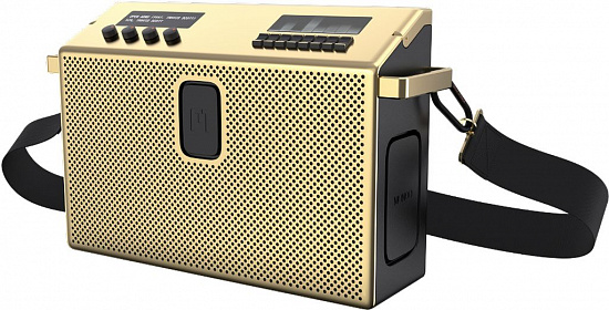 Bluetooth акустическая система Mondo BT Speaker Large, цвет золото