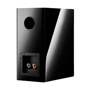 Полочная АС Dynaudio Evoke 20 