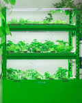 Мобильная многоярусная гидропонная установка
модульного исполнения  VeFarm-ED