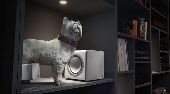 Сабвуфер Cambridge Audio X201 Gloss White Цвет [Белый]
