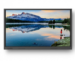 Интерактивная LED панель Newline TruTouch TT-7519RS