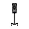 Полочная АС Dynaudio Confidence 20