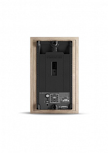 Настенная активная АС DALI OBERON OnWall C Цвет: Светлый дуб [LIGHT OAK] -1 штука