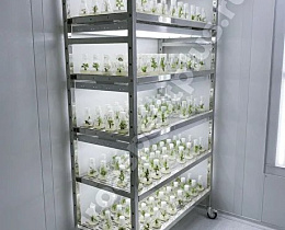 Микроклональная установка VeFarm-Invitro