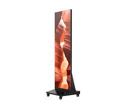 Светодиодный постер КЬЮСТЕЧ (QSTECH) 72" 2725, 624х1910