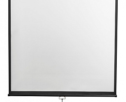 Экран настенный с ручным приводом Digis DSOD-16903