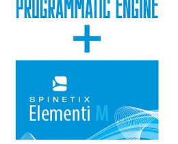 Лицензия Spinetix Programmatic Engine + Elementi M