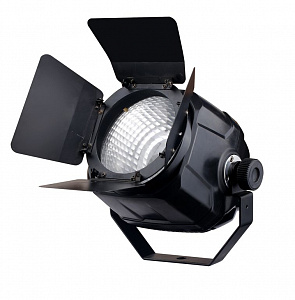 Светодиодный стационарный прожектор типа PAR - Exell Lighting EXLPARCOB100 Светодиодный стационарный прожектор типа PAR - Exell Lighting EXLPARCOB100