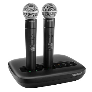 Точка доступа Shure MXWAPXD2E