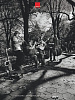 Акустическая панель DALI ACOUSTIC PANEL / The Tin Pan (Central Park) A1