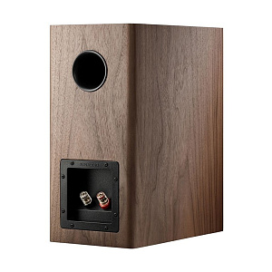 Полочная АС Dynaudio Evoke 20 