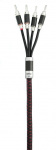 Акустический кабель DALI SC RM430ST /  готовый 1 x 3 м