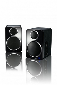 Wharfedale DS-2. Цвет: Черный  [Black]