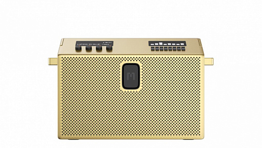 Bluetooth акустическая система Mondo BT Speaker Large, цвет золото