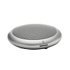 Микрофонный массив Shure MXA320AL