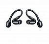 Беспроводные внутриканальные наушники Shure SE21DYBK+TW2-EFS