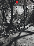 Акустическая панель DALI ACOUSTIC PANEL / The Tin Pan (Central Park)