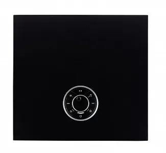 Стример-усилитель Ruark R610 Цвет: Черный [CHARCOAL]