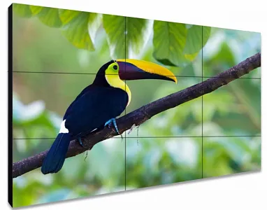 ЖК-панель для видеостен Exell EXPD-WA55AB05 55"